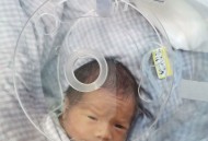 早产娃出保温箱离世,早产孩子在保温箱