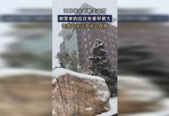 河南鹅毛大雪,河南鹅毛大雪满天飞 积雪脚脖子深