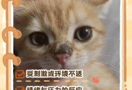 空气差到动物呼吸难,空气差到动物呼吸难受怎么办