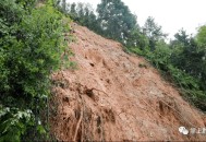 洪涝毁400亩农作物,农作物水灾赔偿标准？