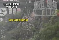 坠崖大学生确认身亡,大学生岳麓山上不慎坠崖，景区游玩切勿选择偏僻小道, 你怎么看？
