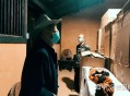 生二胎后遭丈夫杀害,面对二胎引起的19岁儿子杀死父亲的悲剧！作为家庭应该如何进行沟通避免矛盾和悲剧？