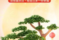 国庆消费电子火爆,今年国庆中秋双节旅游消费怎么样？