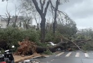 台风过后潜在风险,台风来了，住高层感觉楼体有晃动，有危险吗？