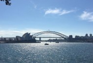 北京飞悉尼票价-43 ,北京飞悉尼票价是多少