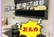 全季酒店出现蟑螂,全季酒店蟑螂怎么处理