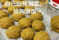 点拼好饭被骂狗饭 ,狗狗吃了饭还是饿的直叫怎么办？