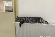 南方人首次感受暖气,南方人首次感受暖气的感觉