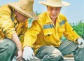 上海职工带薪陪护假,上海铁路局2023杭州工务段实习培训有工资吗？