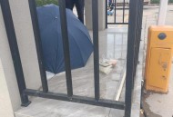 保安将外卖扔进花坛,保安将外卖扔进花坛里