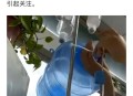 虚假摆拍2人被行拘,沈阳男子为挽回离家妻子，摆拍“虐待”6岁女儿照片，被行拘5日, 你怎么看？