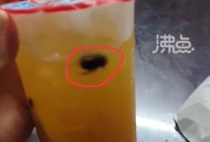 未开封奶茶惊现蟑螂,奶茶店蟑螂怎么消灭最彻底？