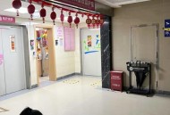 一女童被大型犬咬伤,商洛8岁女童被宠物狗咬伤，官方：积极调查处理，你怎么看？
