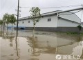 佛山因防蚊网内涝,佛山因防蚊网内涝的地方