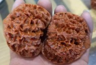 盘4年的核桃是塑料,盘四年的核桃