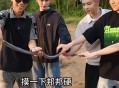 捡剧毒蛇后轮流抚摸,蛇喜欢被你摸什么地方？
