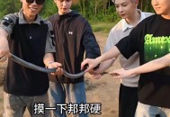 捡剧毒蛇后轮流抚摸,蛇喜欢被你摸什么地方？