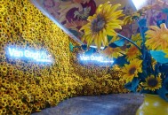 上海七夕结婚创新高,上海七夕节适合去的地方？