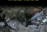 杀女友藏尸水泥16年,法证先锋4水泥里的小孩结局？