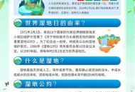 新增22处重要湿地,2021年1月3日 我国新增湿地面积多少万亩 湿地保护率达到50%以上？