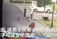 男童被犬只撕咬下体,