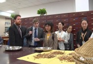 外国人组团学中医,外国人组团学中医怎么样