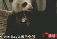 日动物园人扮大熊猫,动物园人扮熊猫事件