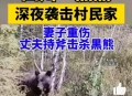 村民遭黑熊袭击昏迷,村民遭黑熊袭击昏迷视频