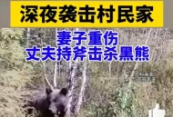 村民遭黑熊袭击昏迷,村民遭黑熊袭击昏迷视频