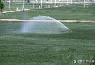 河南多地下雪了,河南多地下雪影响小麦嘛? 河南多地下雪了,河南多地下雪影响小麦嘛?