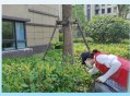 老太捡垃圾堆满小区,老太捡垃圾堆满小区的说说