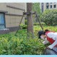 老太捡垃圾堆满小区,老太捡垃圾堆满小区的说说