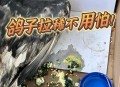 大量鸽子发抖吐白沫,鸽子发抖是怎么回事？