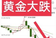 金价大涨两大原因,国际金价大涨的原因？