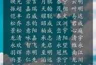 最长人名要念20分钟,世界上最长名字？