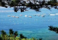 北京公园黑天鹅失踪,如何评价獐子岛一季度亏损，董事长称正落实措施这件事？