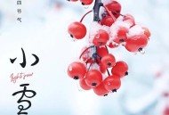 小雪至 冬始俏,小雪到冬始俏下一句？