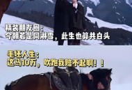 冰面下现13匹冰冻马,人和马如何过冰面？