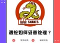 上厕所被蛇顶到屁股,厕所里有蛇怎么办? 上厕所被蛇顶到屁股,厕所里有蛇怎么办?