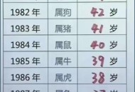 人均寿命有望达80岁,八十年代人均寿命多大? 人均寿命有望达80岁,八十年代人均寿命多大?