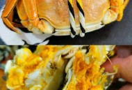 蟹藏车内2年才取出,大闸蟹放到车里保持多久时间? 蟹藏车内2年才取出,大闸蟹放到车里保持多久时间?