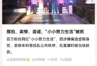 虚假摆拍2人被行拘,关于虚假摆拍处罚规则升级的公告