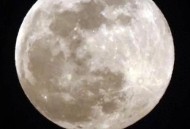 中秋最圆月亮在白天,中秋节当晚的月亮是一年最圆的吗？