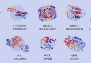 诺贝尔化学奖公布,怎么才能获得诺贝尔化学奖？