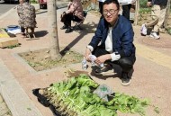 自驾到内蒙捡蔬菜,内蒙古能种青菜吗？