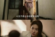 因怨偷婆婆43万花光,将婚姻进行到底婆婆花光积蓄哪一集？