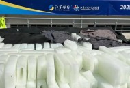 广东将进入速冻模式,广东冷冻新冠