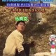 虐猫男留学被拒,英国留学生吸毒后虐猫致死？人性还在吗？良心不会痛吗？