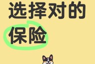 多年前保险只退本金,360保险缴满十年退本金？