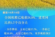 山东打响秋粮脱水战,山东秋粮收获